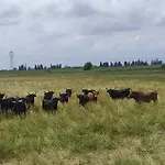 Au Coeur Des Vignes, Pres Du Canal Du Midi *