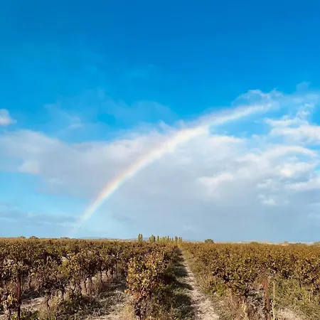 公寓 Au Coeur Des Vignes, Pres Du Canal Du Midi 卡佩斯唐