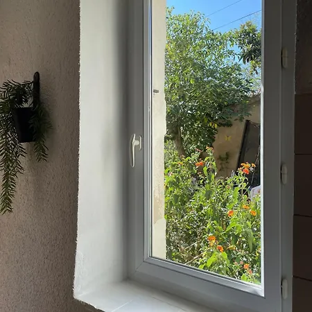 Au Coeur Des Vignes, Pres Du Canal Du Midi 公寓 *